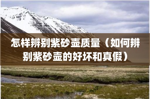怎样辨别紫砂壶质量（如何辨别紫砂壶的好坏和真假）