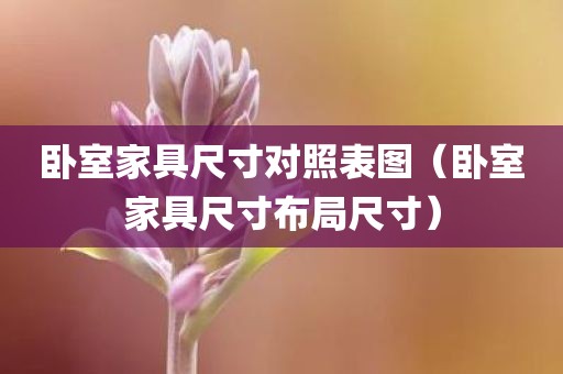 卧室家具尺寸对照表图（卧室家具尺寸布局尺寸）