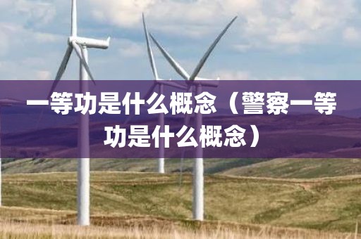 一等功是什么概念（警察一等功是什么概念）