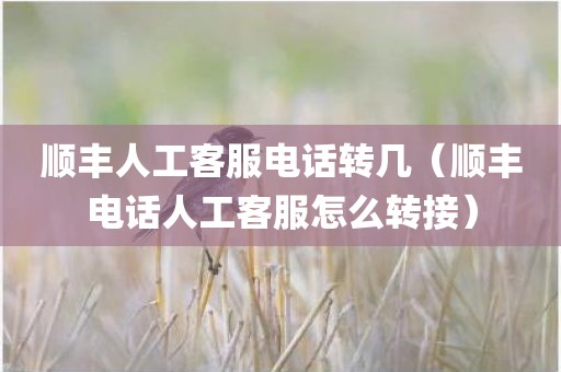 顺丰人工客服电话转几（顺丰电话人工客服怎么转接）