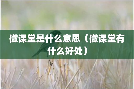 微课堂是什么意思（微课堂有什么好处）