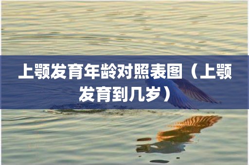 上颚发育年龄对照表图（上颚发育到几岁）