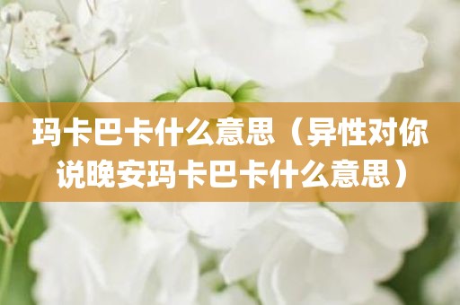 玛卡巴卡什么意思（异性对你说晚安玛卡巴卡什么意思）