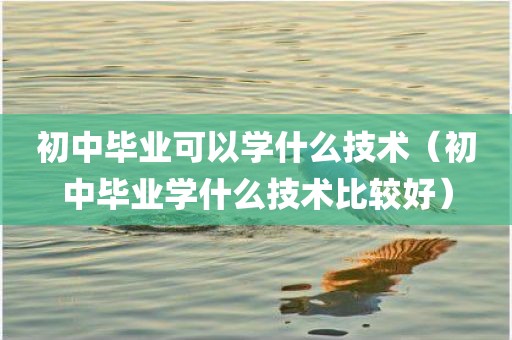 初中毕业可以学什么技术（初中毕业学什么技术比较好）