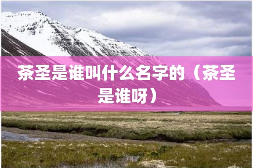 茶圣是谁叫什么名字的（茶圣是谁呀）