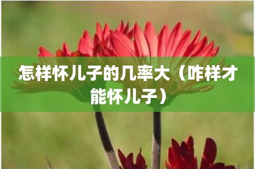 怎样怀儿子的几率大（咋样才能怀儿子）