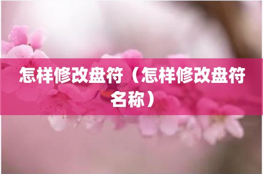 怎样修改盘符（怎样修改盘符名称）