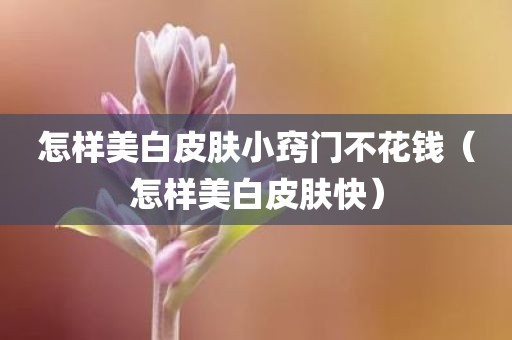怎样美白皮肤小窍门不花钱（怎样美白皮肤快）