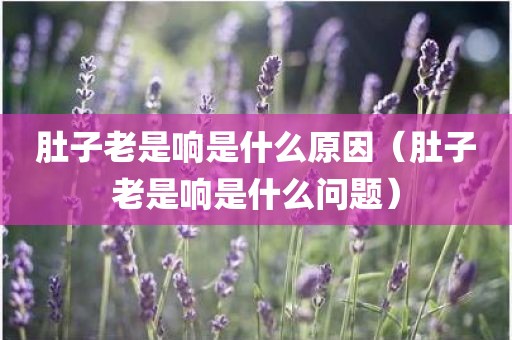 肚子老是响是什么原因（肚子老是响是什么问题）