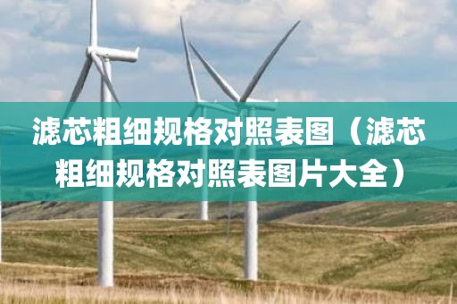 滤芯粗细规格对照表图（滤芯粗细规格对照表图片大全）