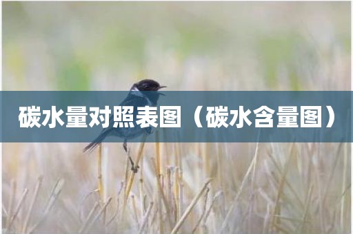 碳水量对照表图（碳水含量图）