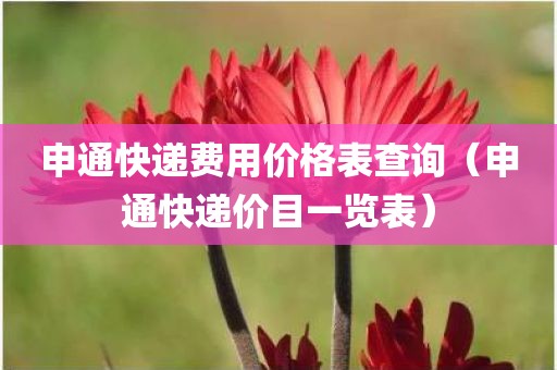 申通快递费用价格表查询（申通快递价目一览表）