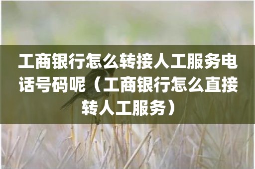 工商银行怎么转接人工服务电话号码呢（工商银行怎么直接转人工服务）
