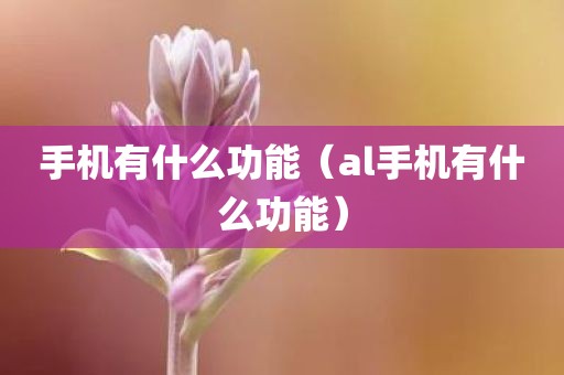 手机有什么功能（al手机有什么功能）