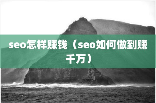 seo怎样赚钱（seo如何做到赚千万）