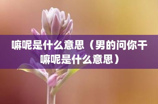 嘛呢是什么意思（男的问你干嘛呢是什么意思）