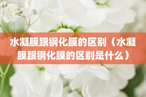水凝膜跟钢化膜的区别（水凝膜跟钢化膜的区别是什么）