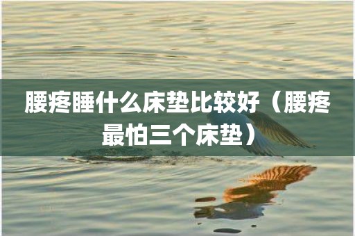 腰疼睡什么床垫比较好（腰疼最怕三个床垫）