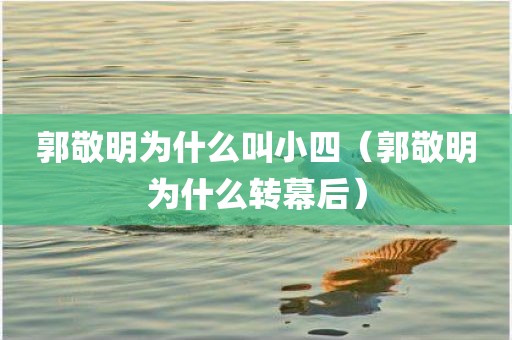 郭敬明为什么叫小四（郭敬明为什么转幕后）