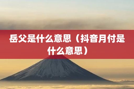 岳父是什么意思（抖音月付是什么意思）