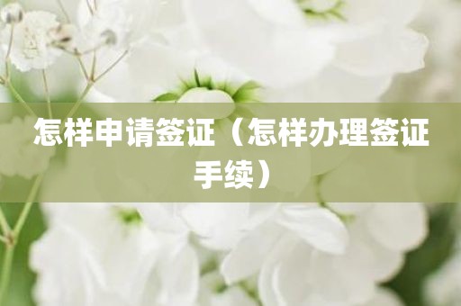 怎样申请签证（怎样办理签证手续）