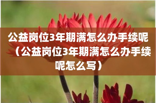 公益岗位3年期满怎么办手续呢（公益岗位3年期满怎么办手续呢怎么写）