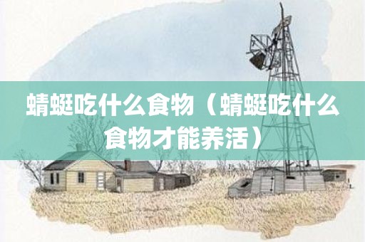 蜻蜓吃什么食物（蜻蜓吃什么食物才能养活）