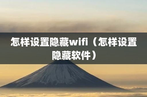 怎样设置隐藏wifi（怎样设置隐藏软件）