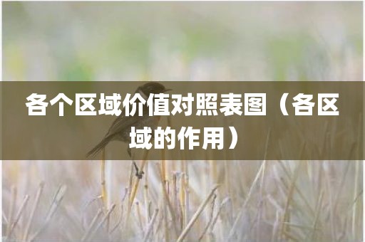 各个区域价值对照表图（各区域的作用）
