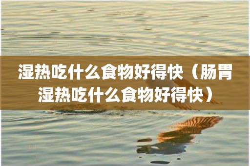 湿热吃什么食物好得快（肠胃湿热吃什么食物好得快）