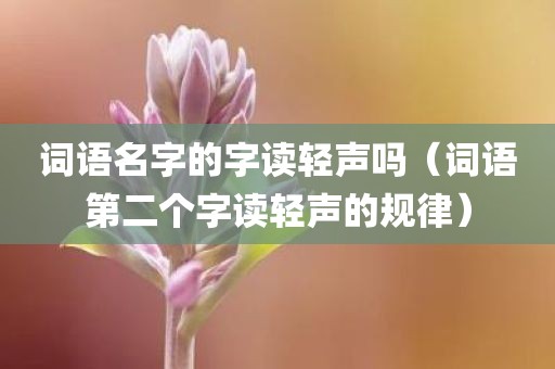 词语名字的字读轻声吗（词语第二个字读轻声的规律）