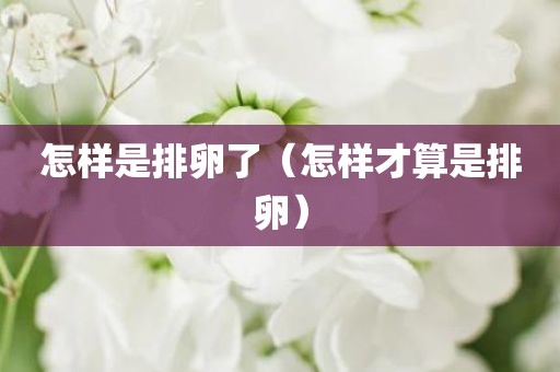 怎样是排卵了（怎样才算是排卵）