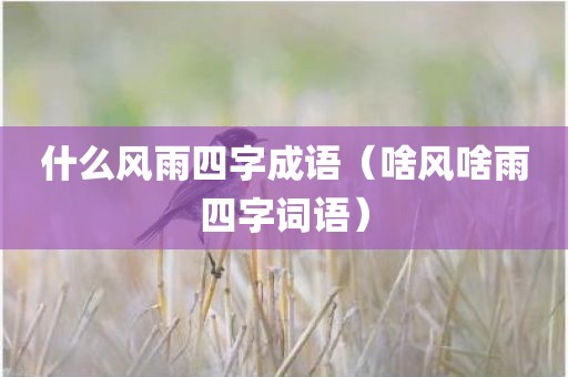 什么风雨四字成语(啥风啥雨四字词语)