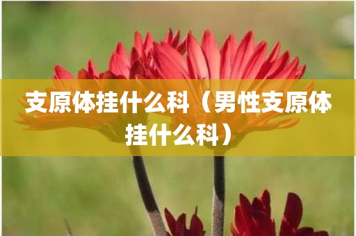 支原体挂什么科（男性支原体挂什么科）