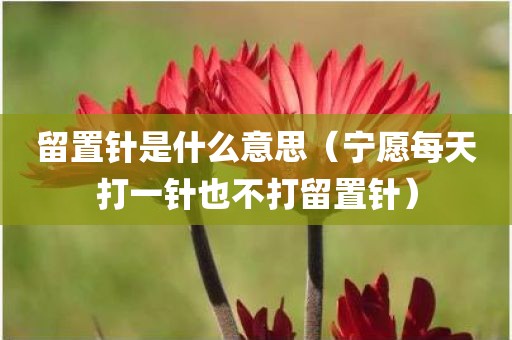 留置针是什么意思(宁愿每天打一针也不打留置针) 留置针是什么意思(宁愿每天打一针也不打留置针)
