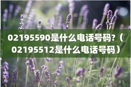 02195590是什么电话号码?（02195512是什么电话号码）