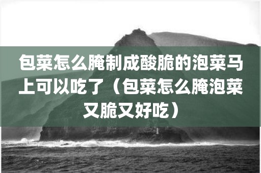 包菜怎么腌制成酸脆的泡菜马上可以吃了（包菜怎么腌泡菜又脆又好吃）