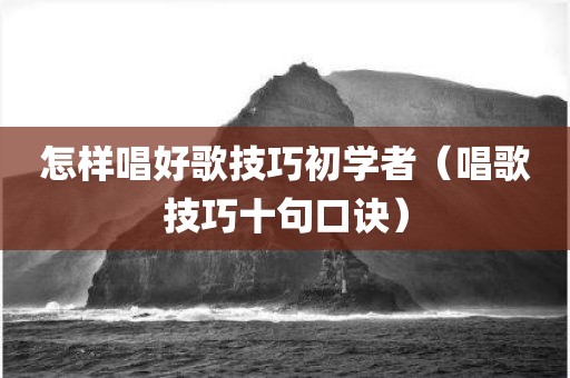 怎样唱好歌技巧初学者（唱歌技巧十句口诀）