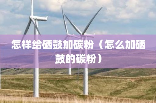 怎样给硒鼓加碳粉（怎么加硒鼓的碳粉）