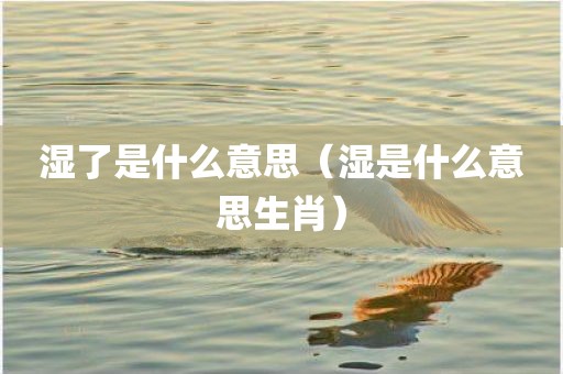 湿了是什么意思（湿是什么意思生肖）
