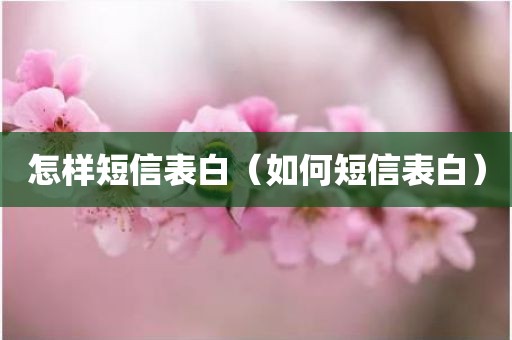 怎样短信表白（如何短信表白）