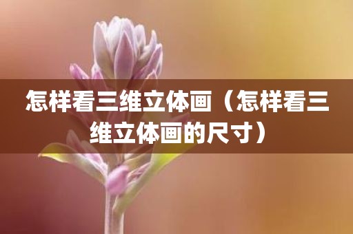 怎样看三维立体画（怎样看三维立体画的尺寸）