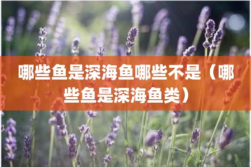 哪些鱼是深海鱼哪些不是（哪些鱼是深海鱼类）
