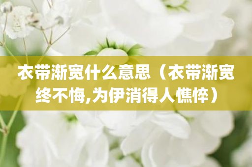 衣带渐宽什么意思（衣带渐宽终不悔,为伊消得人憔悴）