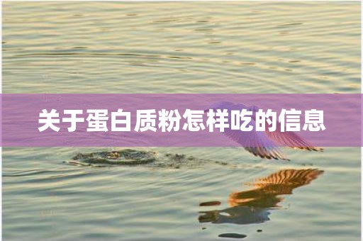 关于蛋白质粉怎样吃的信息