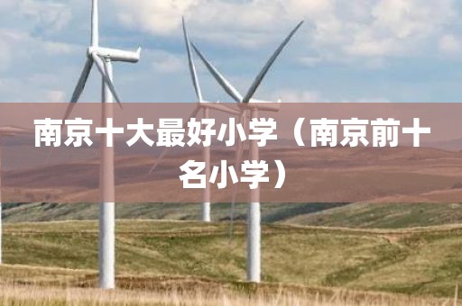 南京十大最好小学（南京前十名小学）