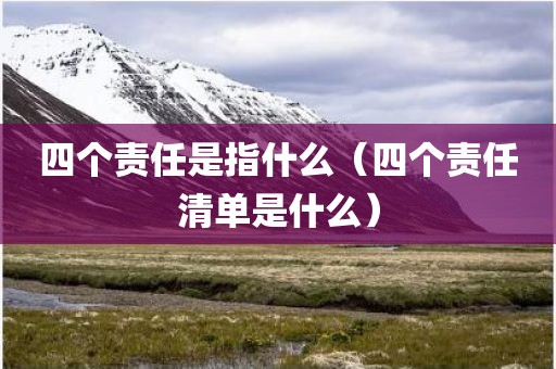 四个责任是指什么（四个责任清单是什么）