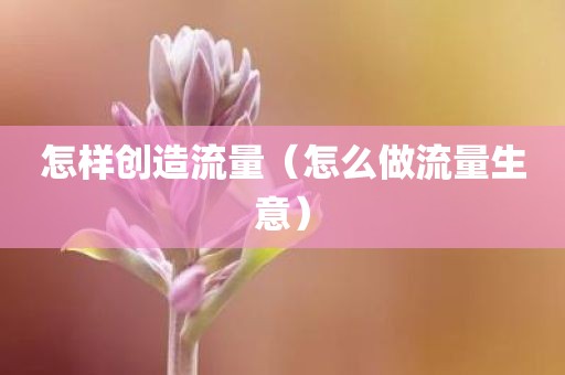 怎样创造流量（怎么做流量生意）