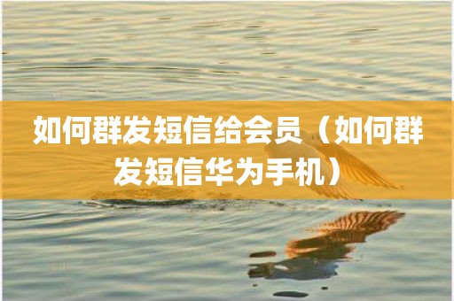 如何群发短信给会员（如何群发短信华为手机）