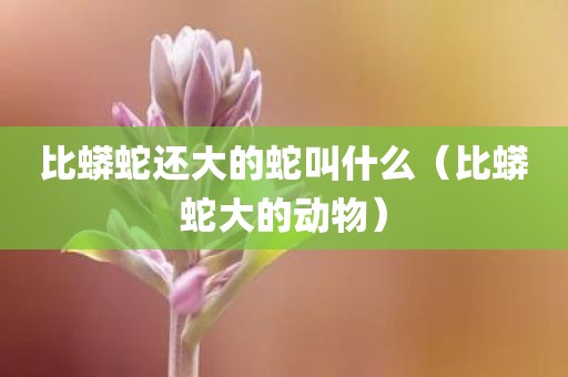 比蟒蛇还大的蛇叫什么（比蟒蛇大的动物）